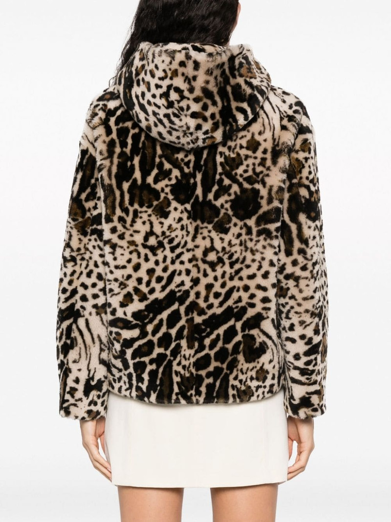 leopard-print shearling hooded jacket 4