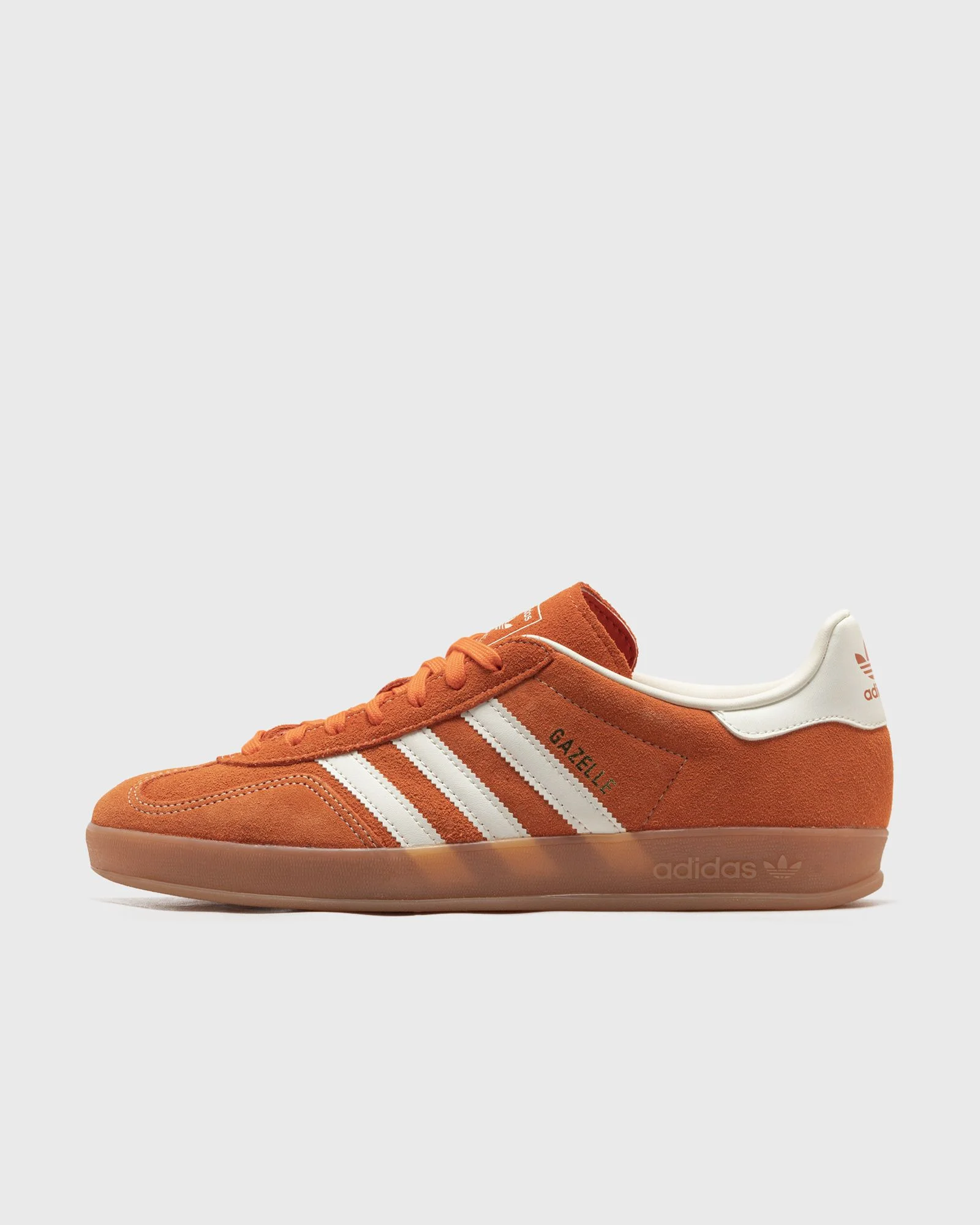 GAZELLE INDOOR - 1