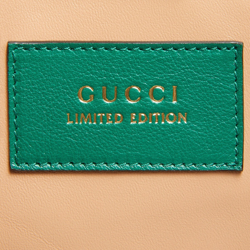 Python briefcase with Double G 4