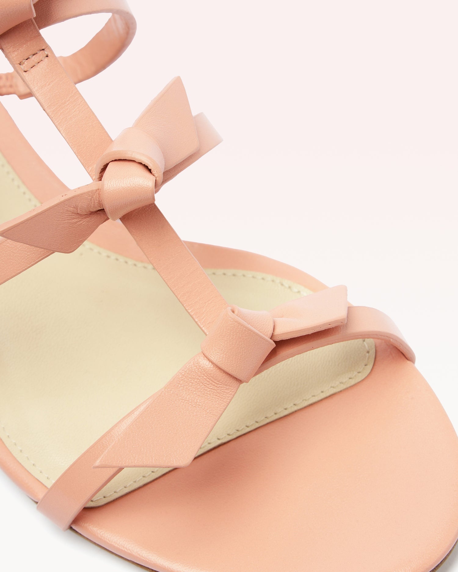 SLIM LOLITA SLIDE ROSE - 4