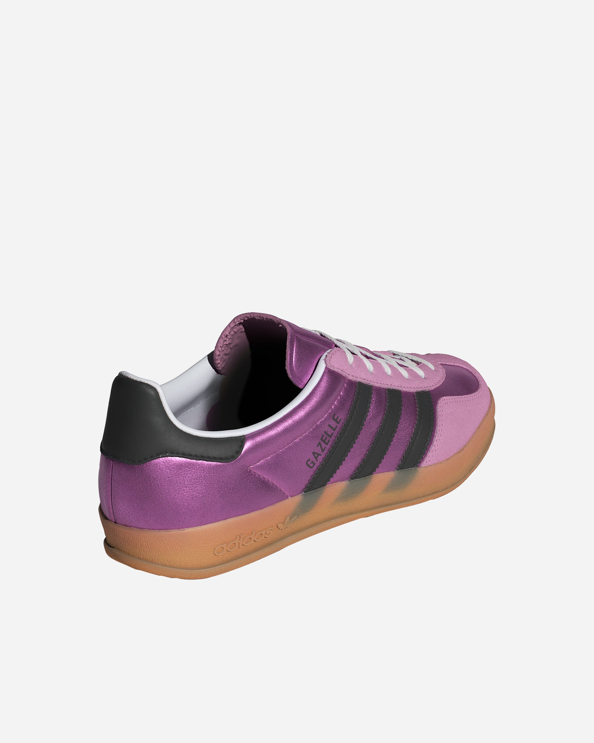 Gazelle Indoor - 2