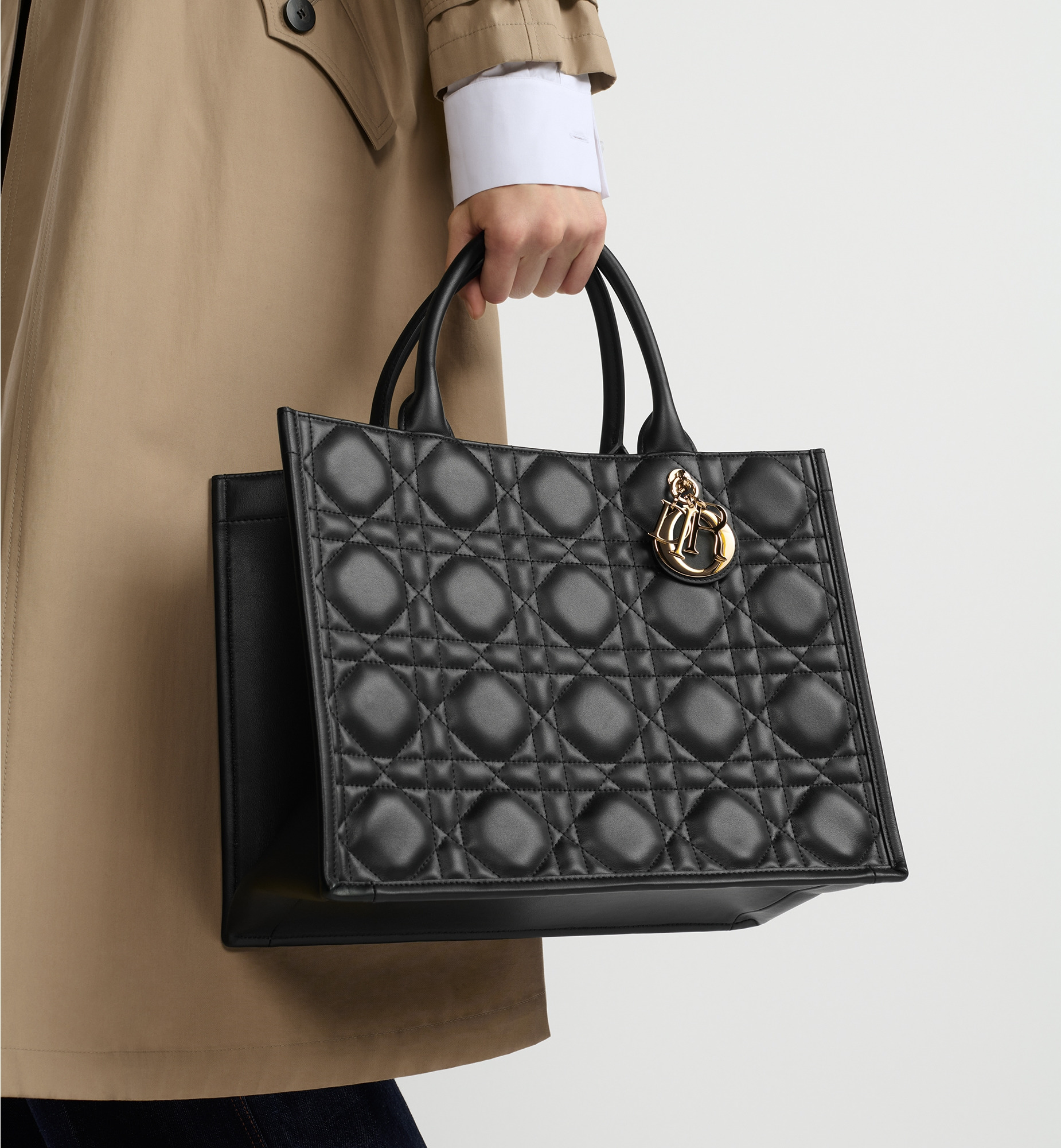 Medium Dior Book Tote - 2
