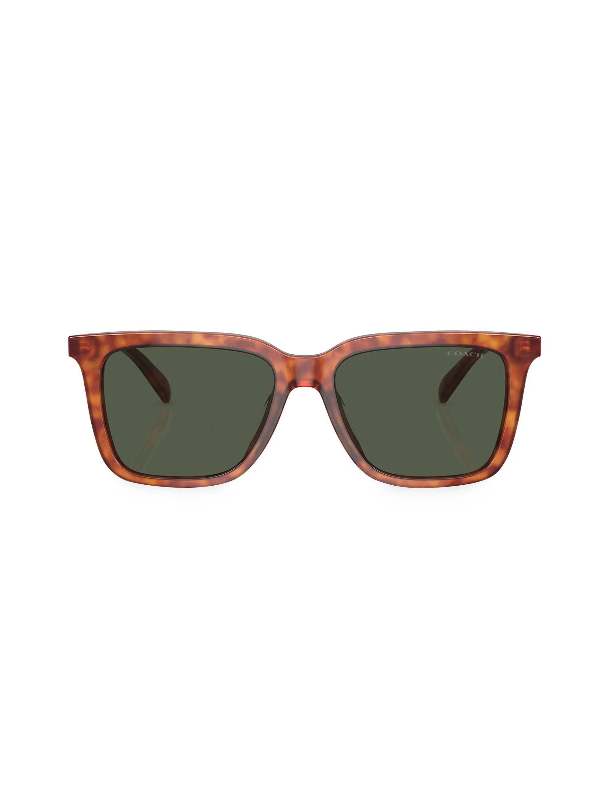 Men's 0HC8385U 54MM Butterfly Sunglasses - Brown Tortoise - 1