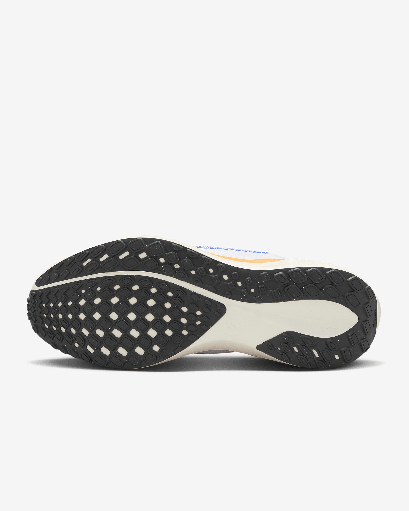 Nike Nike Pegasus EasyOn Blueprint Women's Road Running