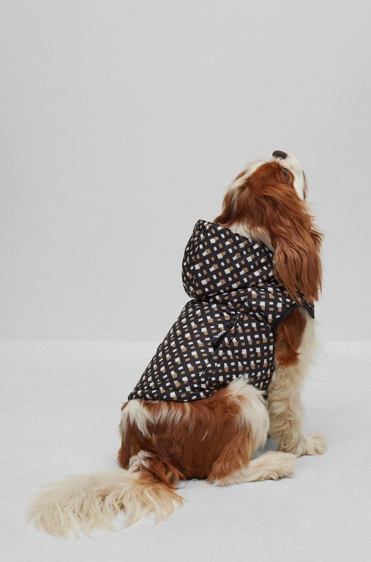 DOG WATER-REPELLENT PADDED JACKET - 2