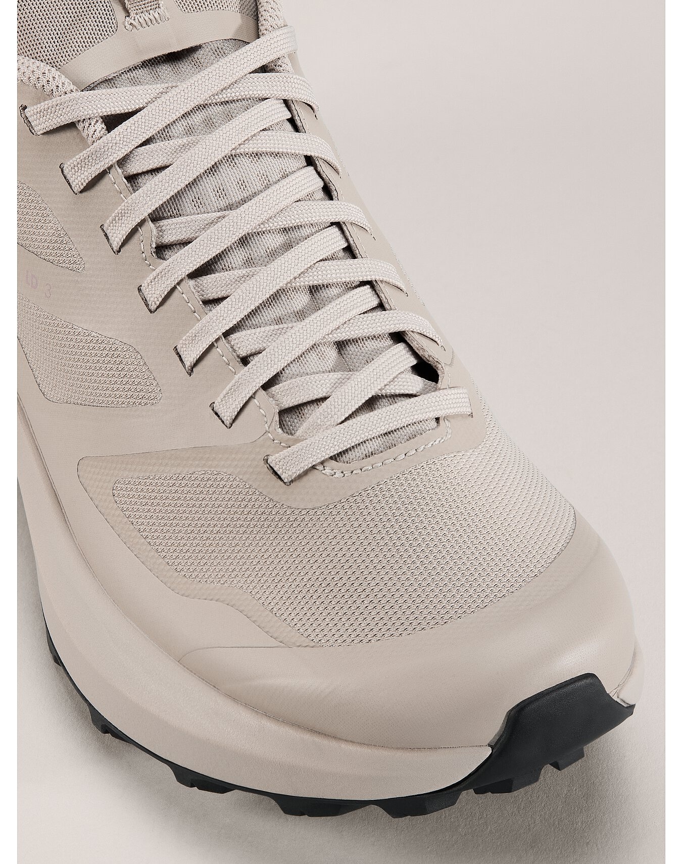Norvan LD 3 GTX Shoe - 2