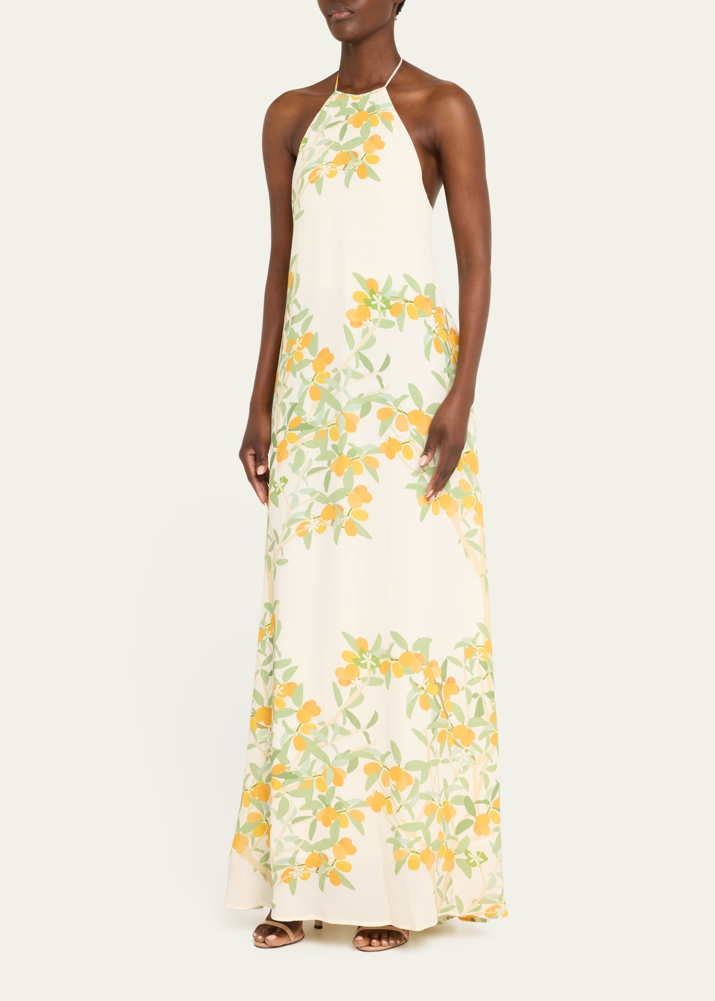 Frannie Floral Print Maxi Dress - 4