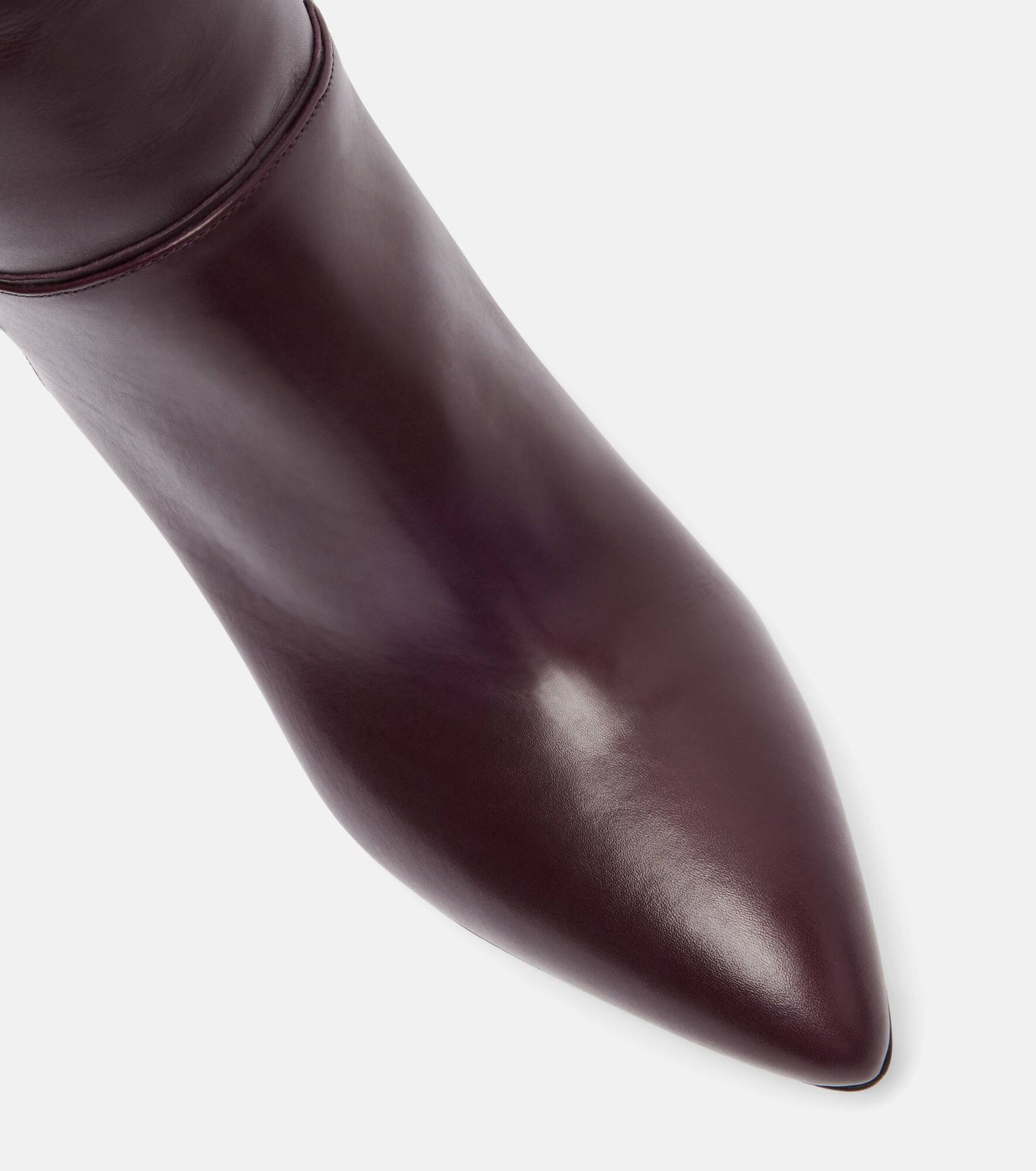 Elsa 75 leather knee-high boots - 5