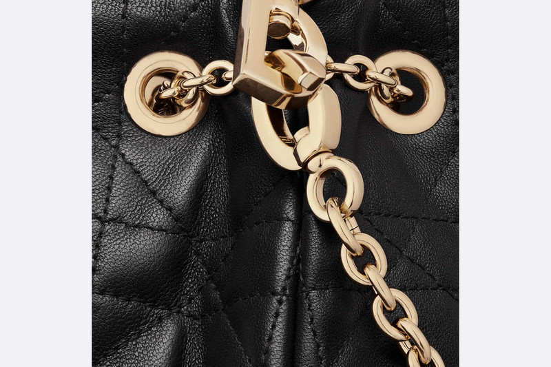 Medium Dior Ammi Bag 6