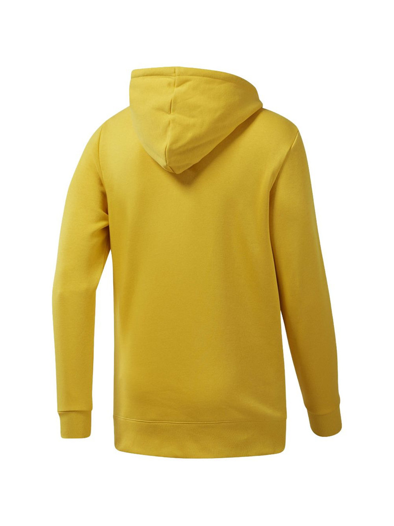 Reebok Classics Vector hoodie outlook