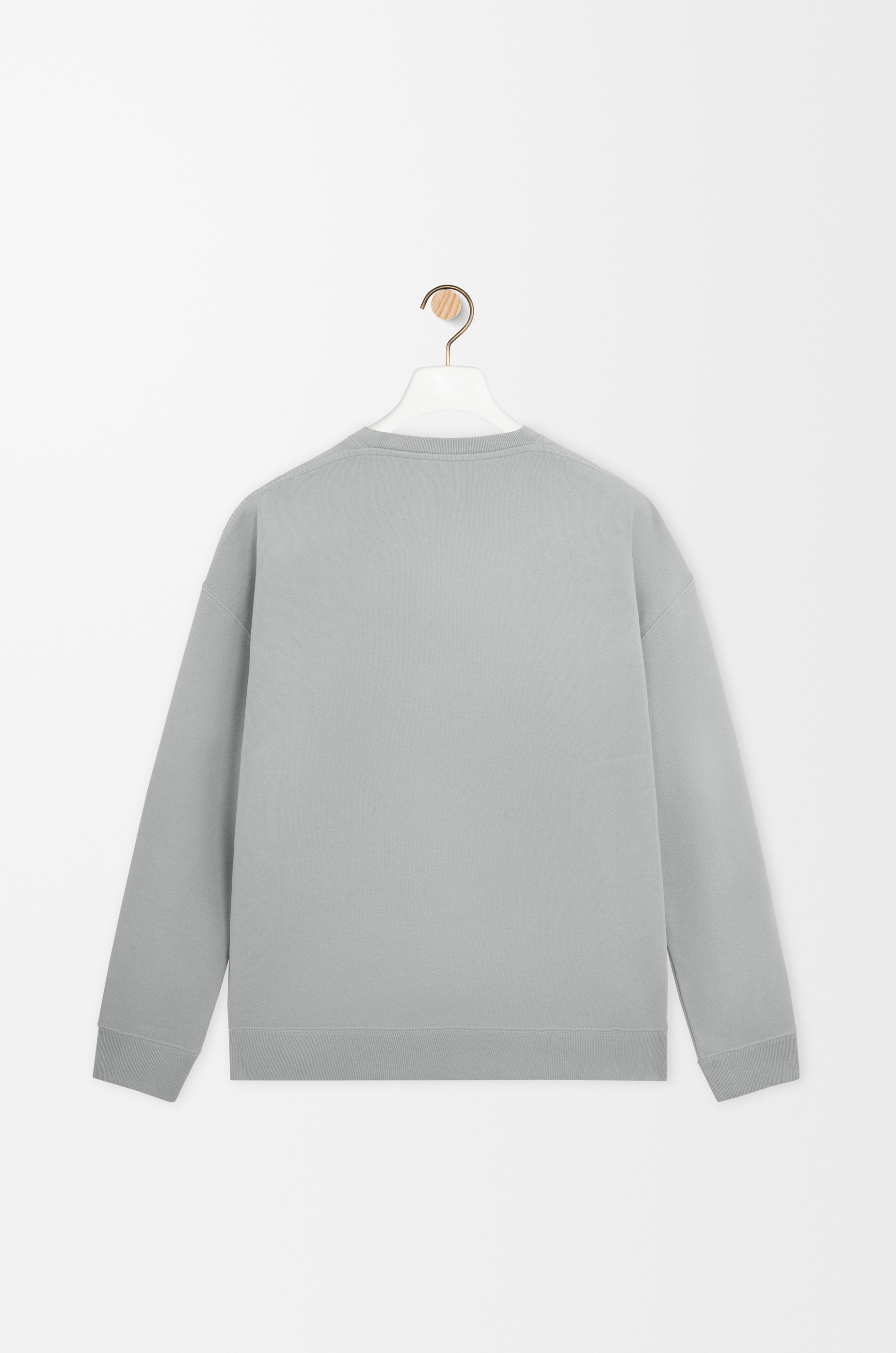 Regular fit sweatshirt in cotton - 2