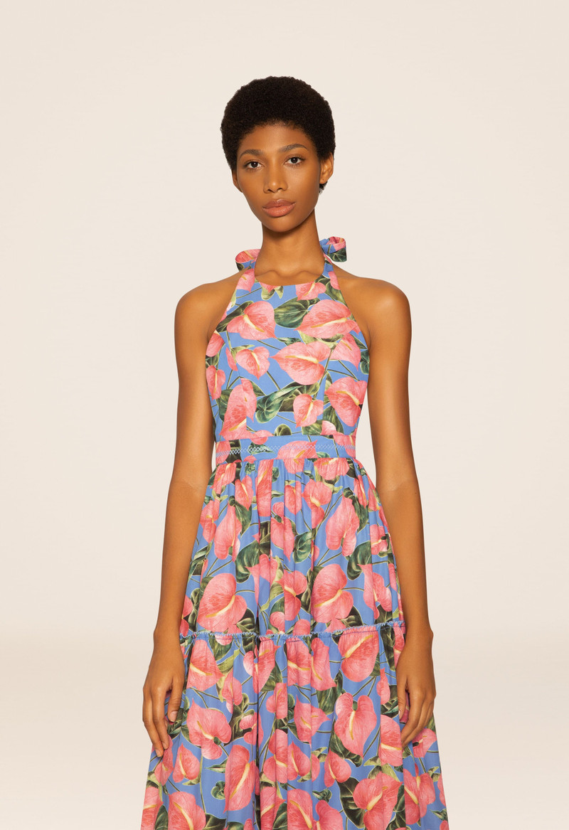 Naranja Anturios Blue Maxi Dress 5