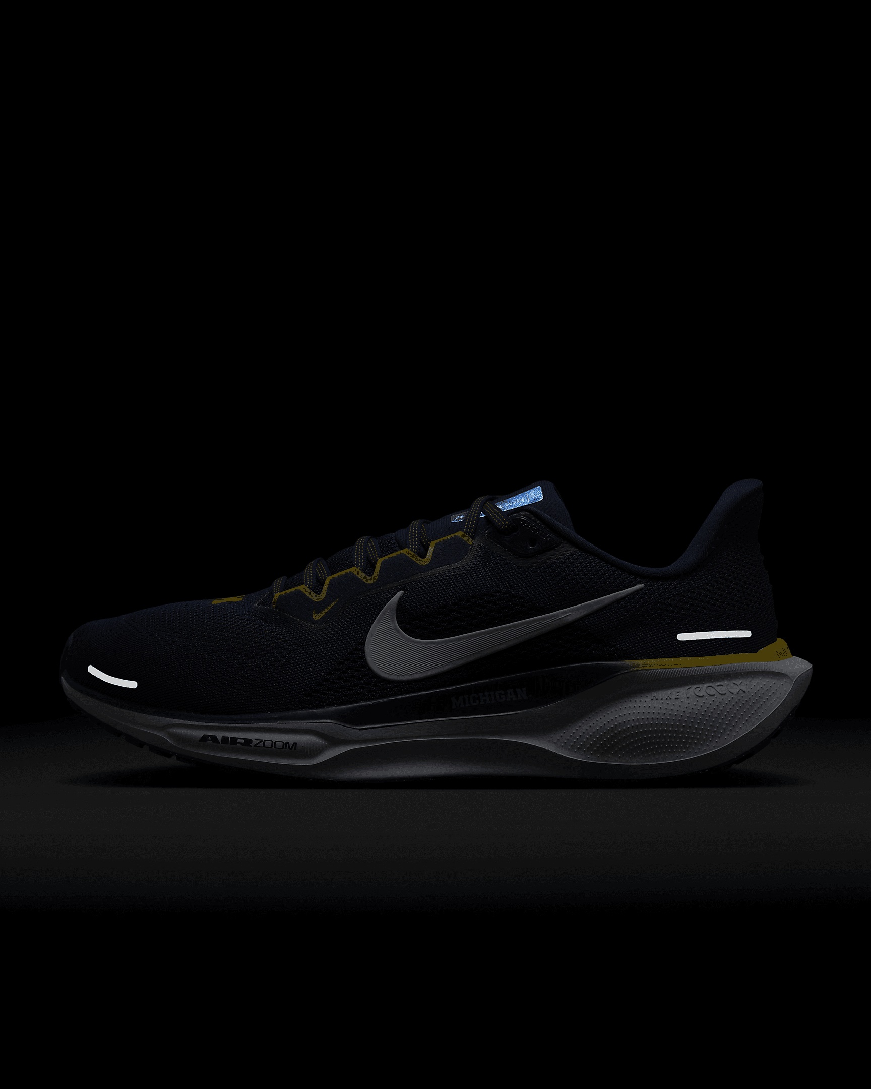 Nike Michigan Pegasus 41 Men