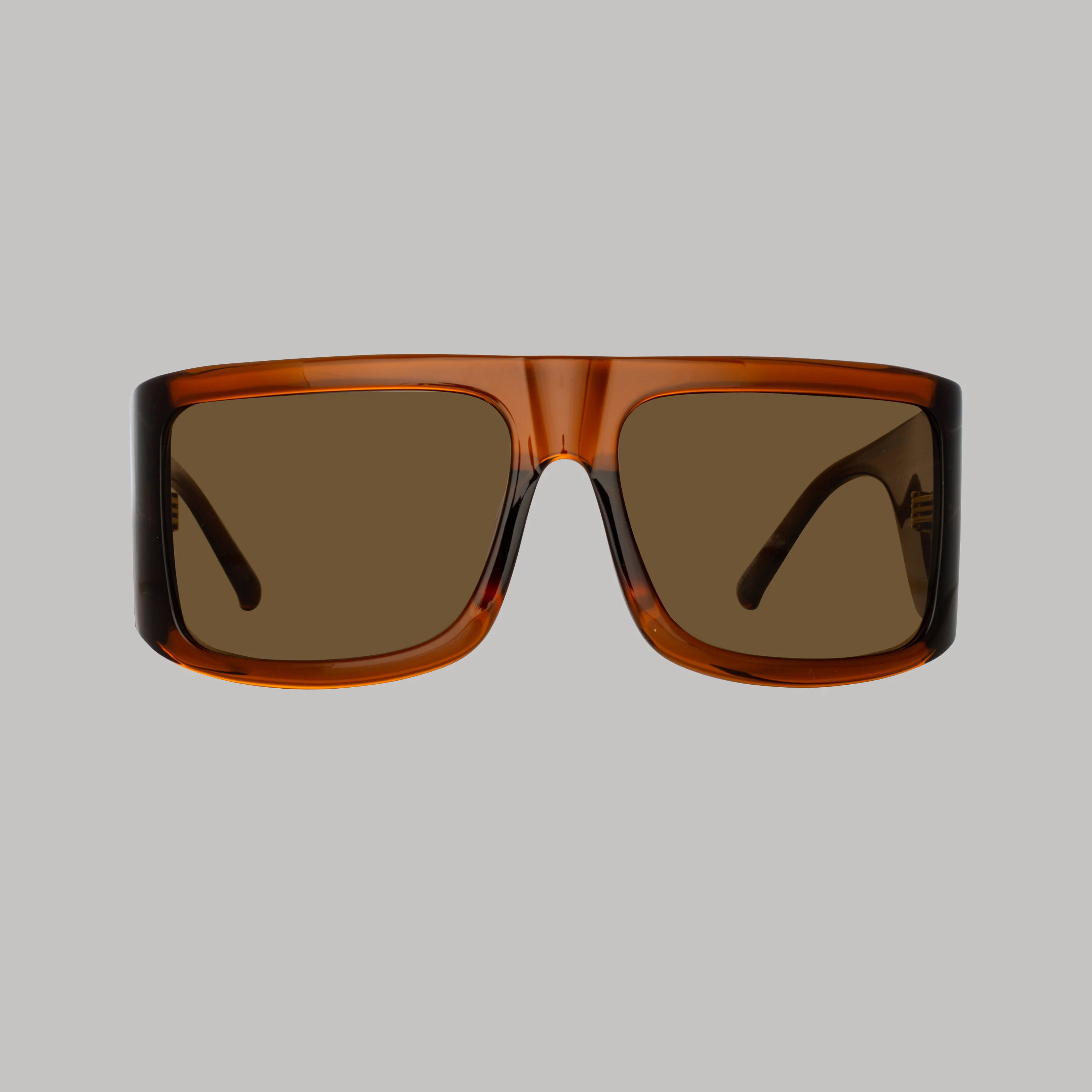 Andre Oversized Sunglasses in Brown - 1