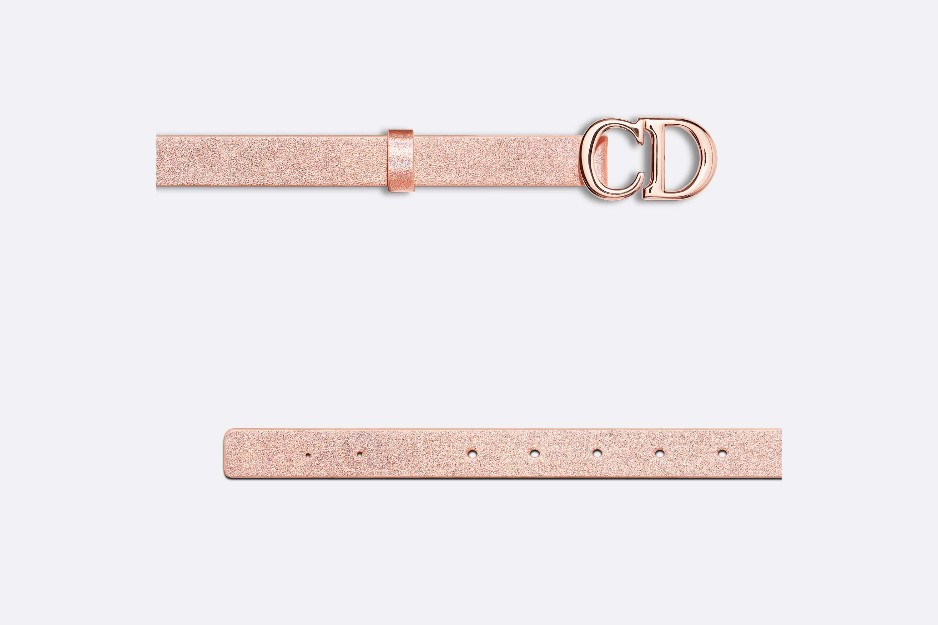 Dior Or Saddle Belt - 4