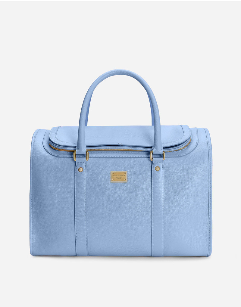 Dog carrier 1