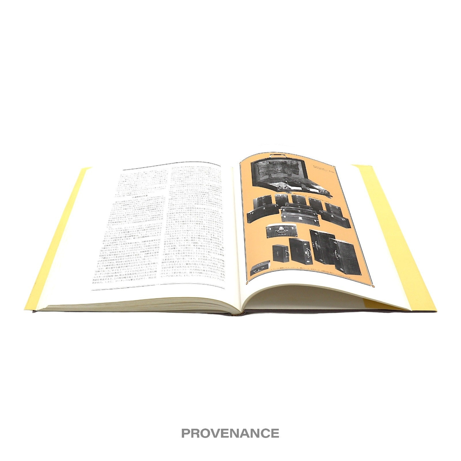 Louis Vuitton LAM ALLE AUX SOUVENIRS Book - Hardcover - 11