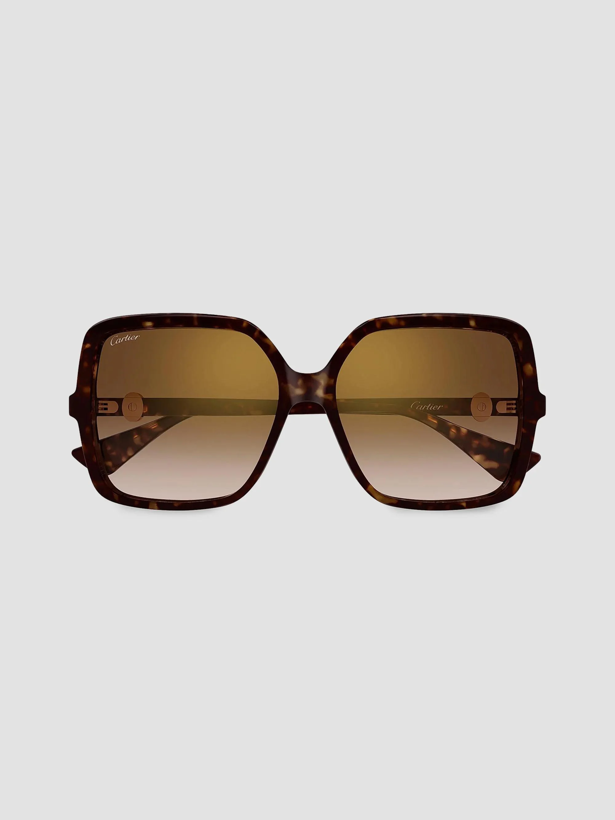Women's Double C 58MM Square Sunglasses - Havana - 1