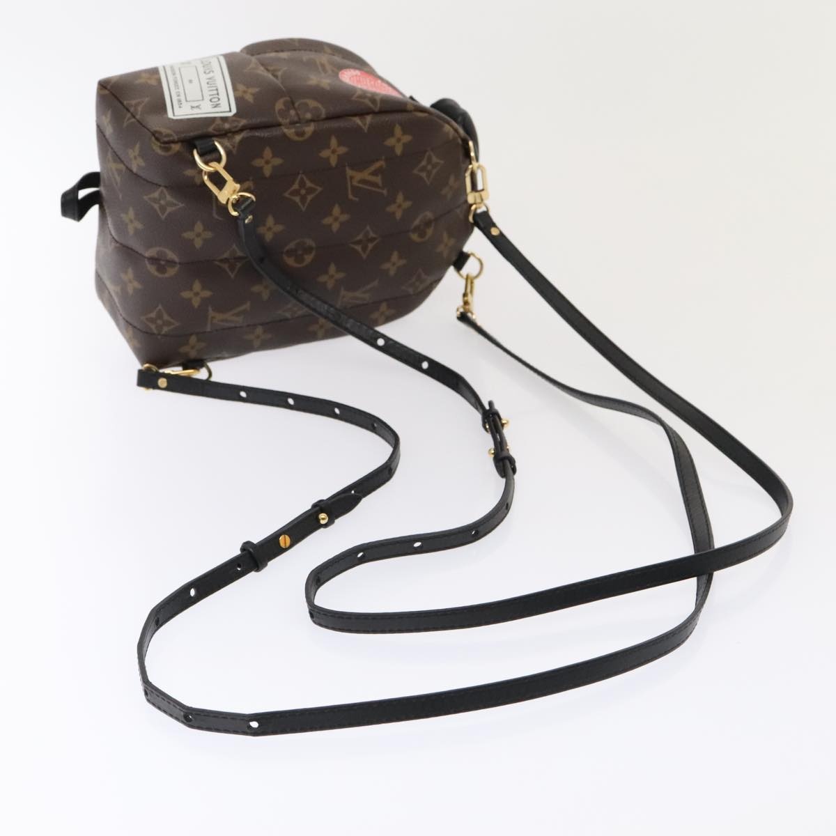 LOUIS VUITTON Monogram Palm Springs Mini Backpack M41562 - 7