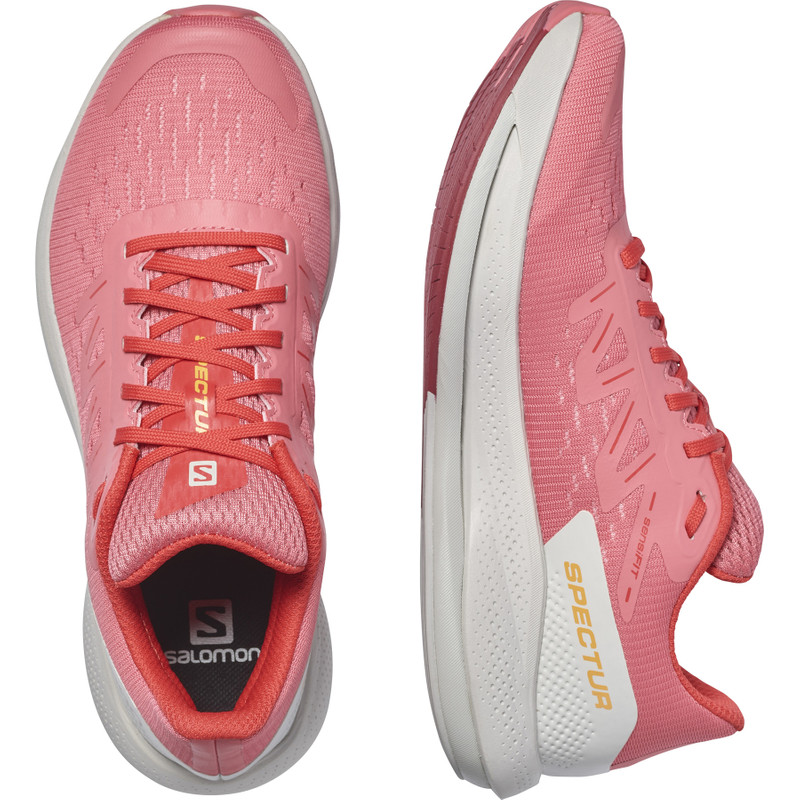 SALOMON SPECTUR outlook