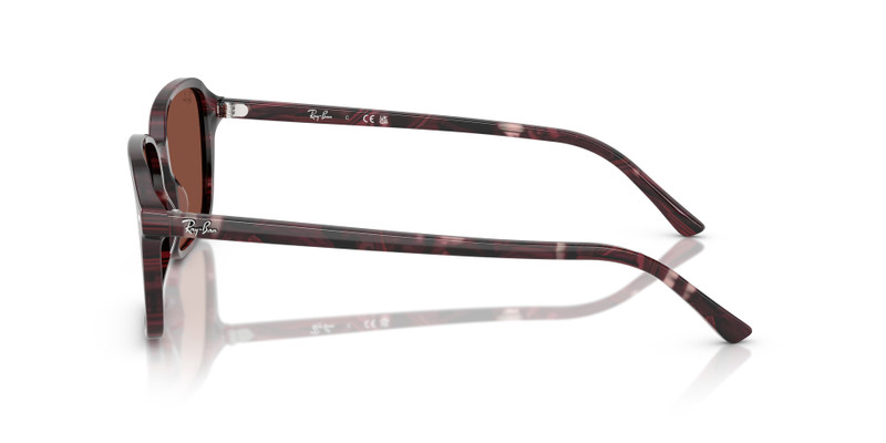 RAIMOND 5