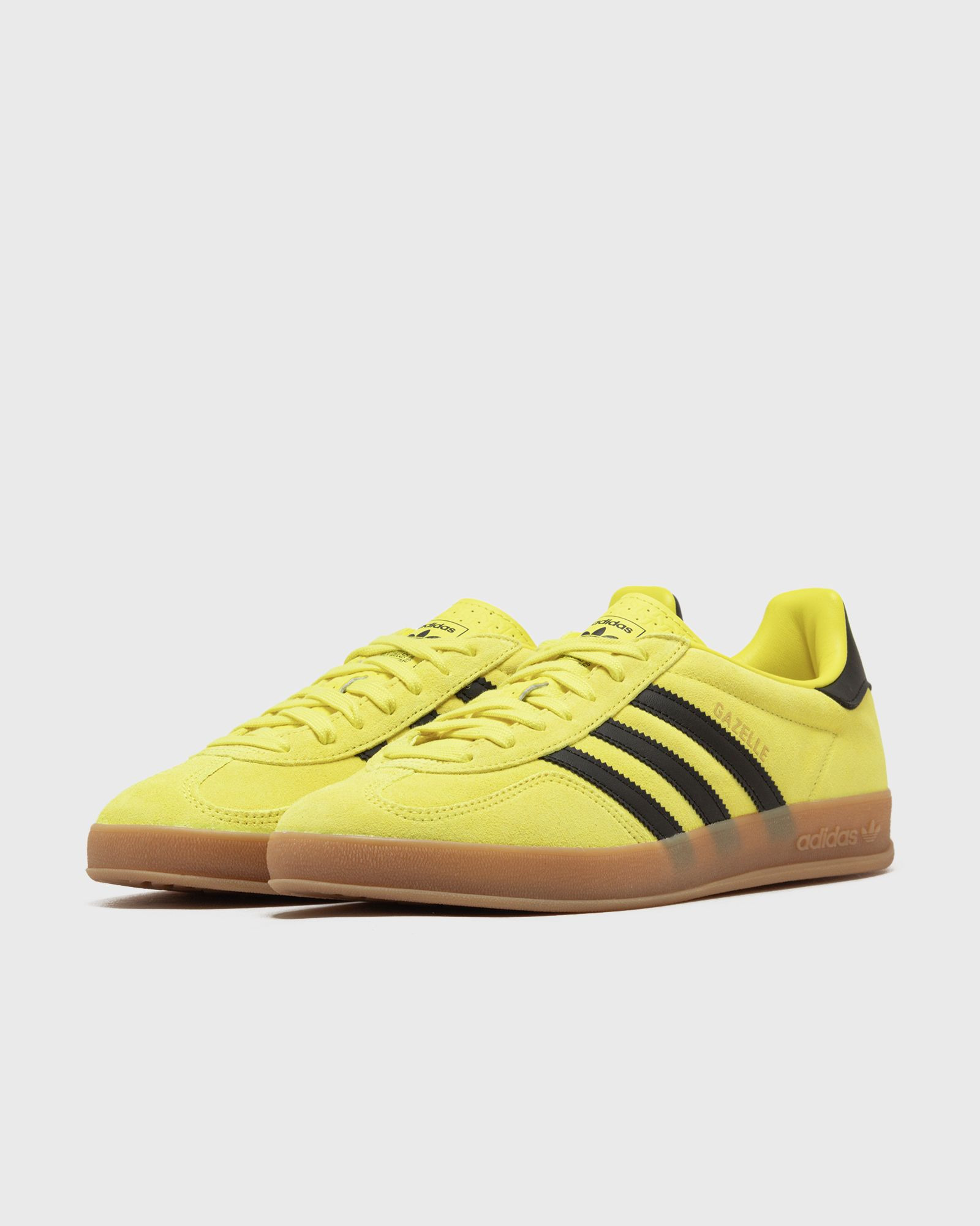 GAZELLE INDOOR - 2