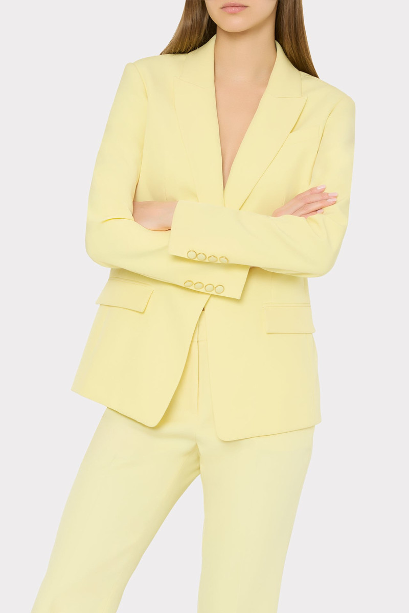 Avery Cady Blazer 4