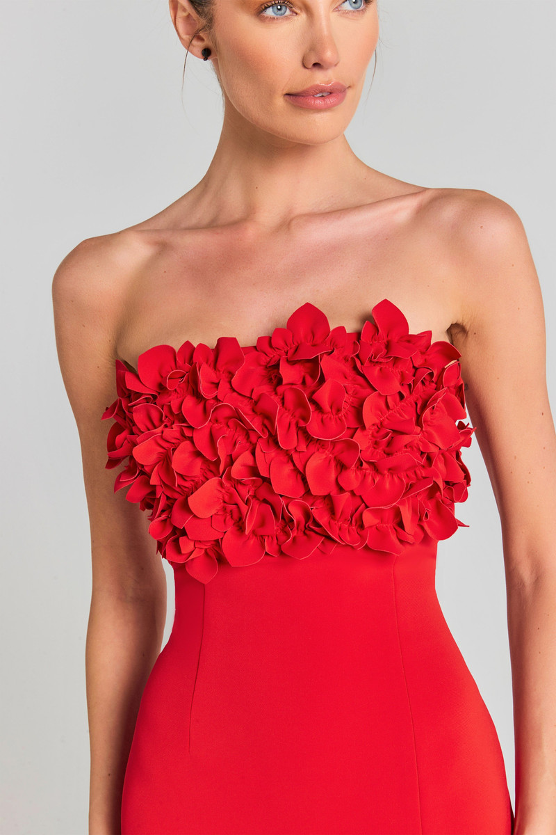 Jasmine Red Dress 6