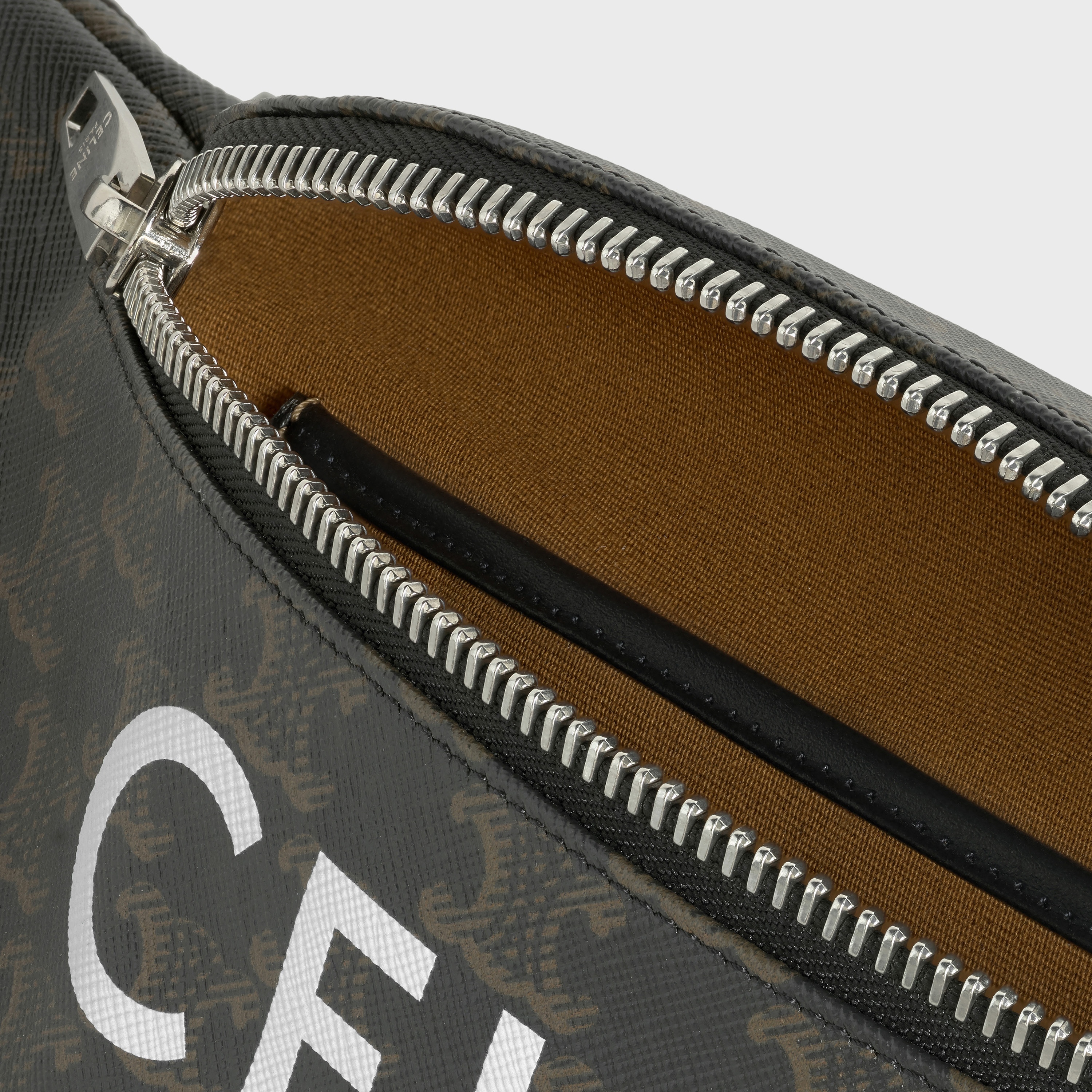 BELT BAG IN TRIOMPHE CANVAS WITH CELINE PRINT - 4