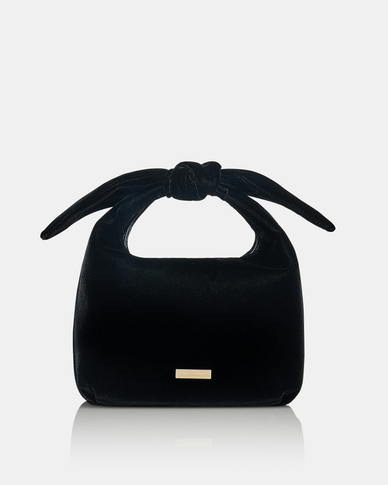 Bow Tie Hobo Mini Bag 1