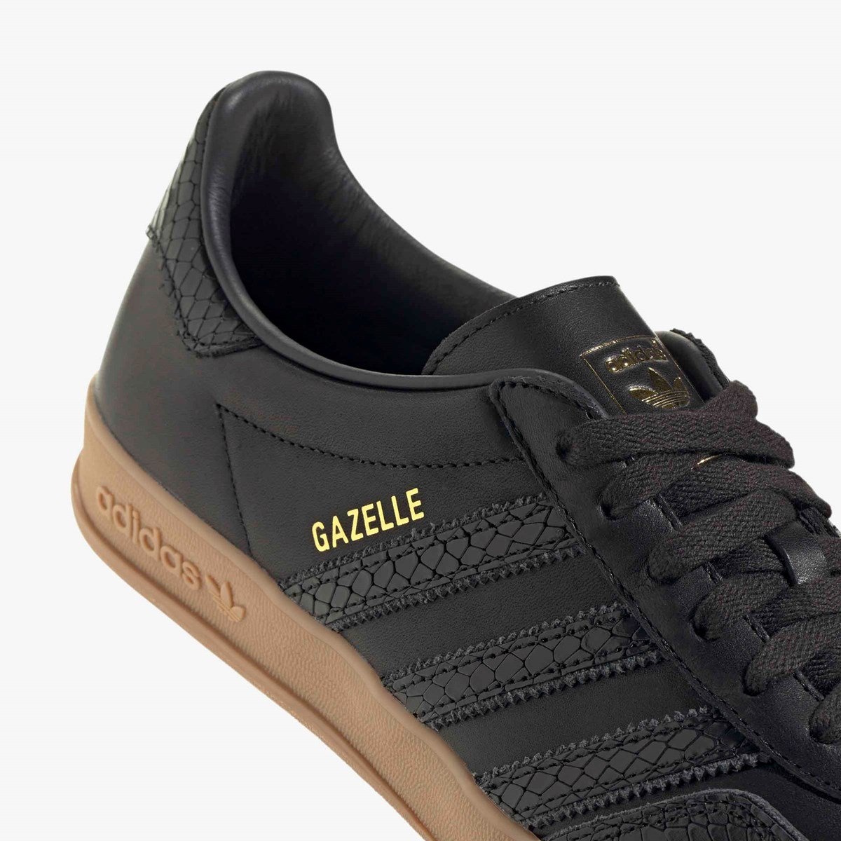 Gazelle Indoor - 8