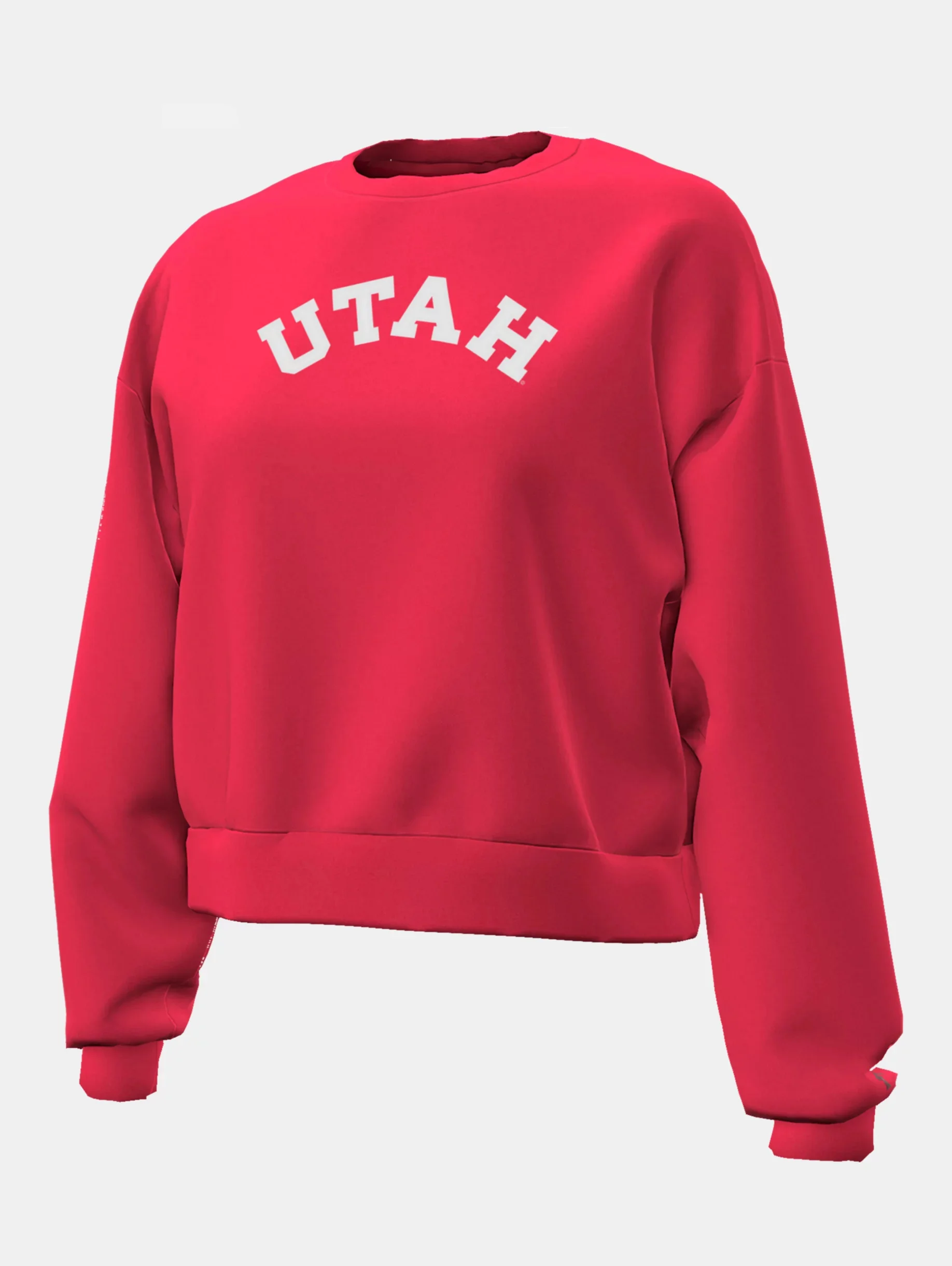 UA Icon Fleece Collegiate - 1