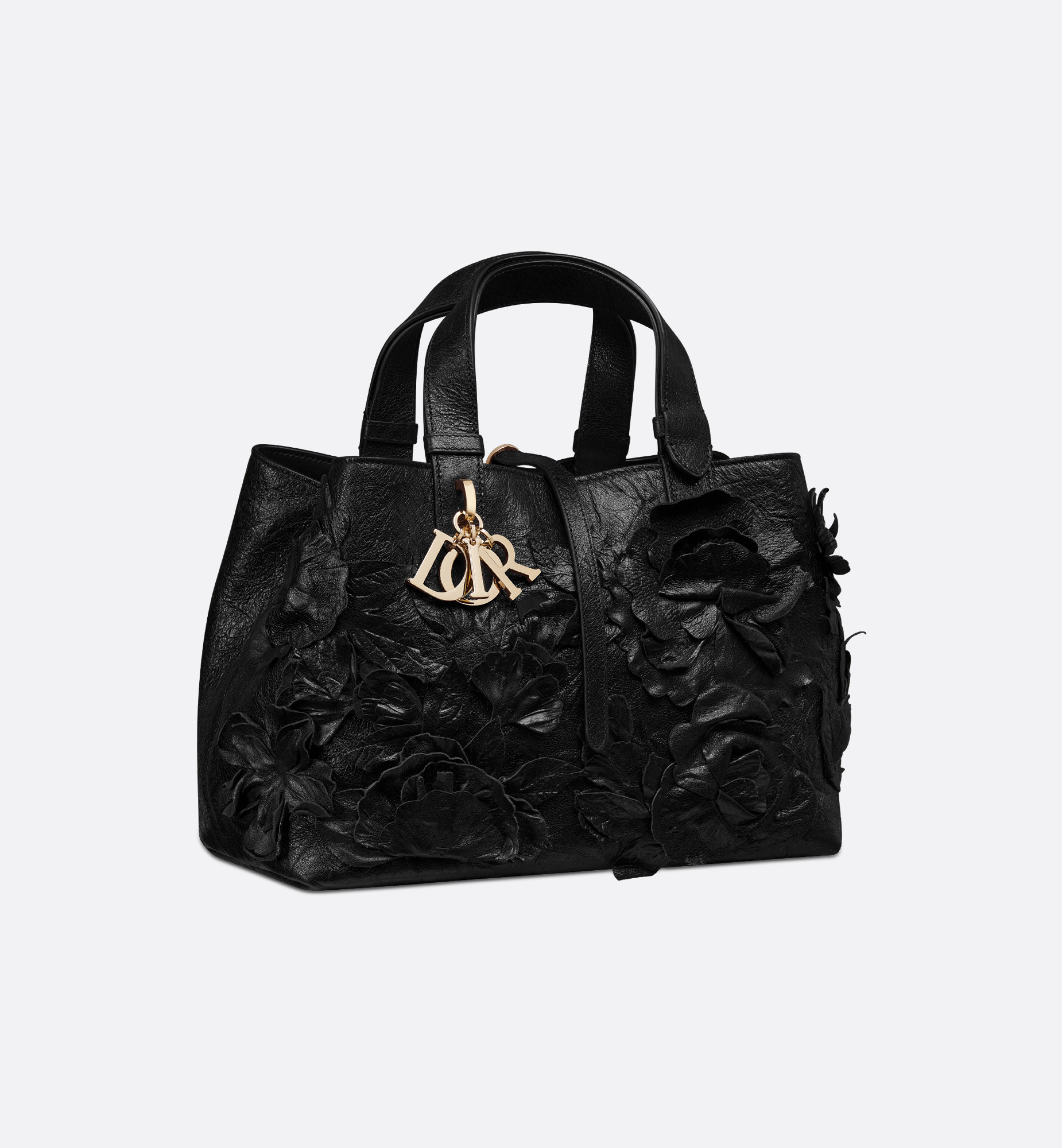 Medium Dior Toujours Bag - 1