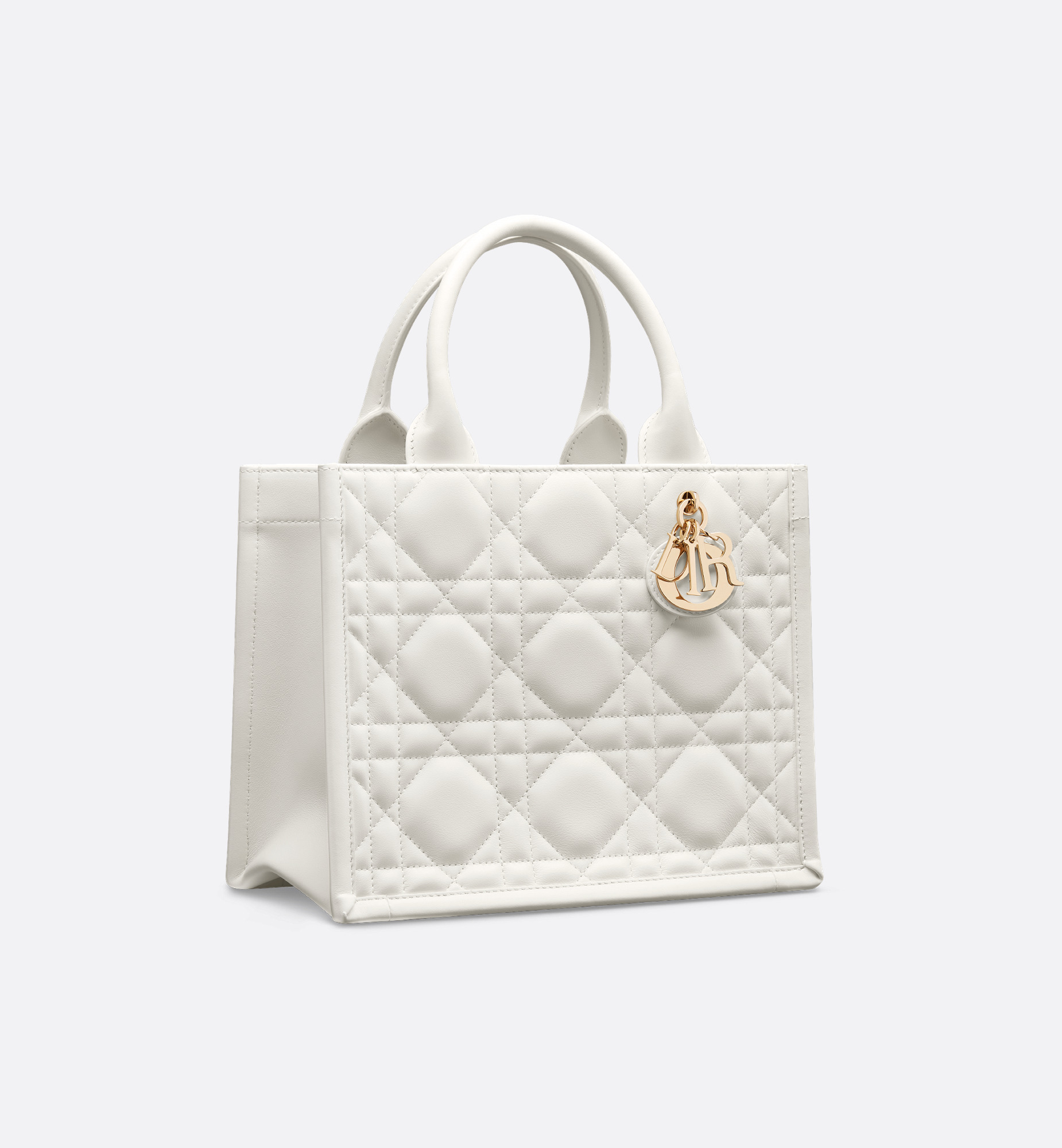 Small Dior Book Tote - 4