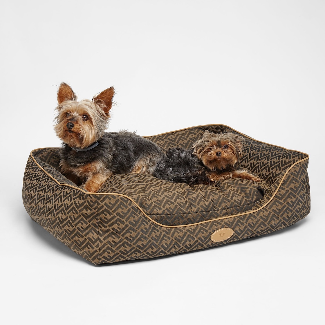 Large FF Jacquard Dog Bed - 3