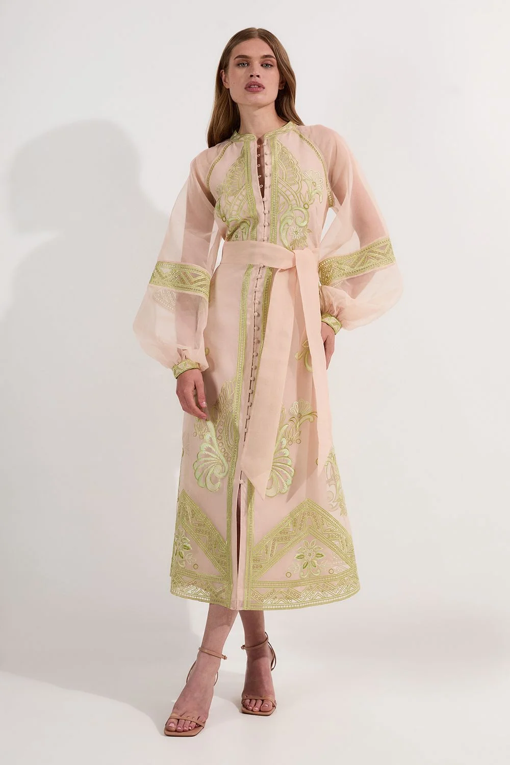 Embroidered Organdie Balloon Sleeve Woven Maxi Dress - 1