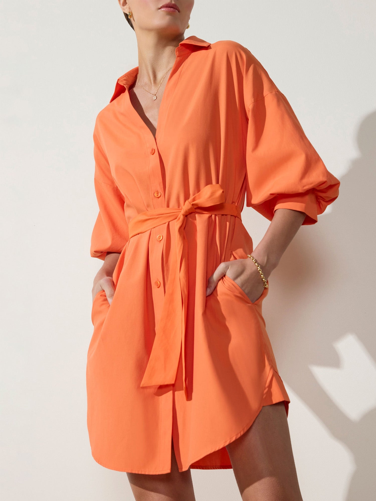 The Kate Belted Dress - 1