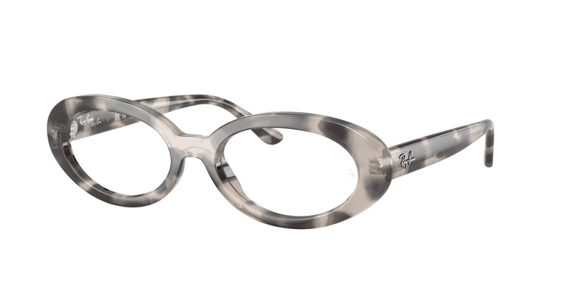 RB2223V OPTICS 3