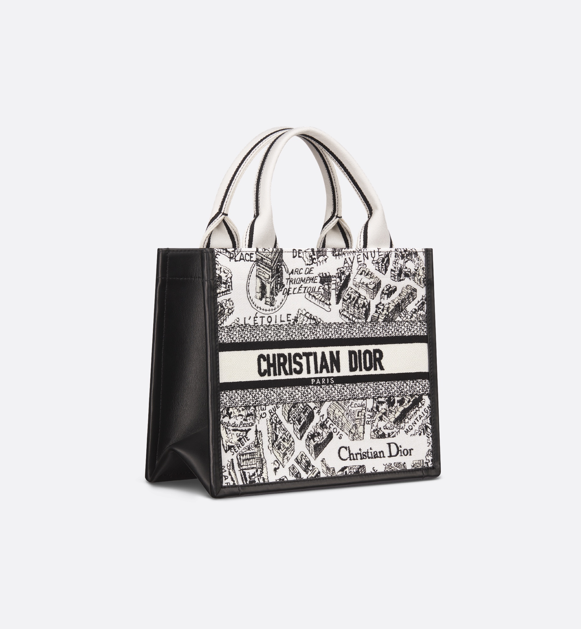 Small Dior Book Tote - 4