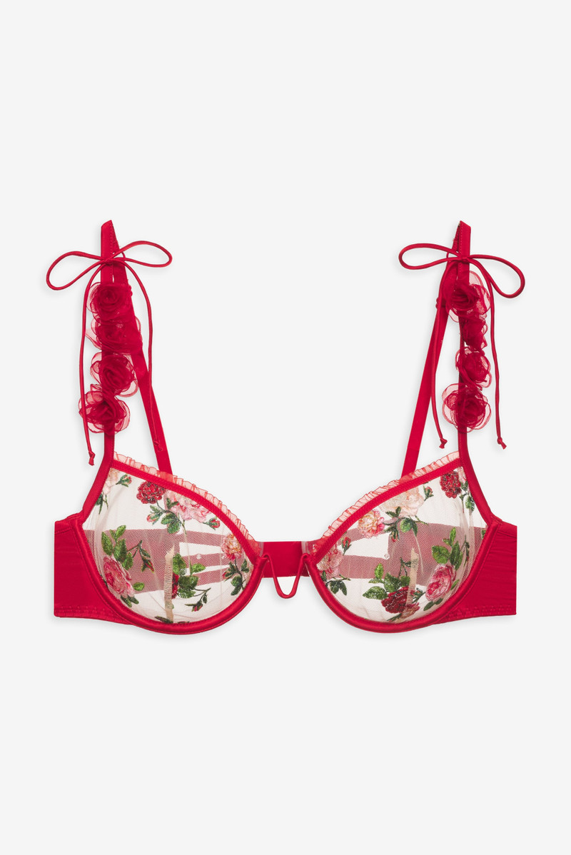 Anika Underwire Bra - 1