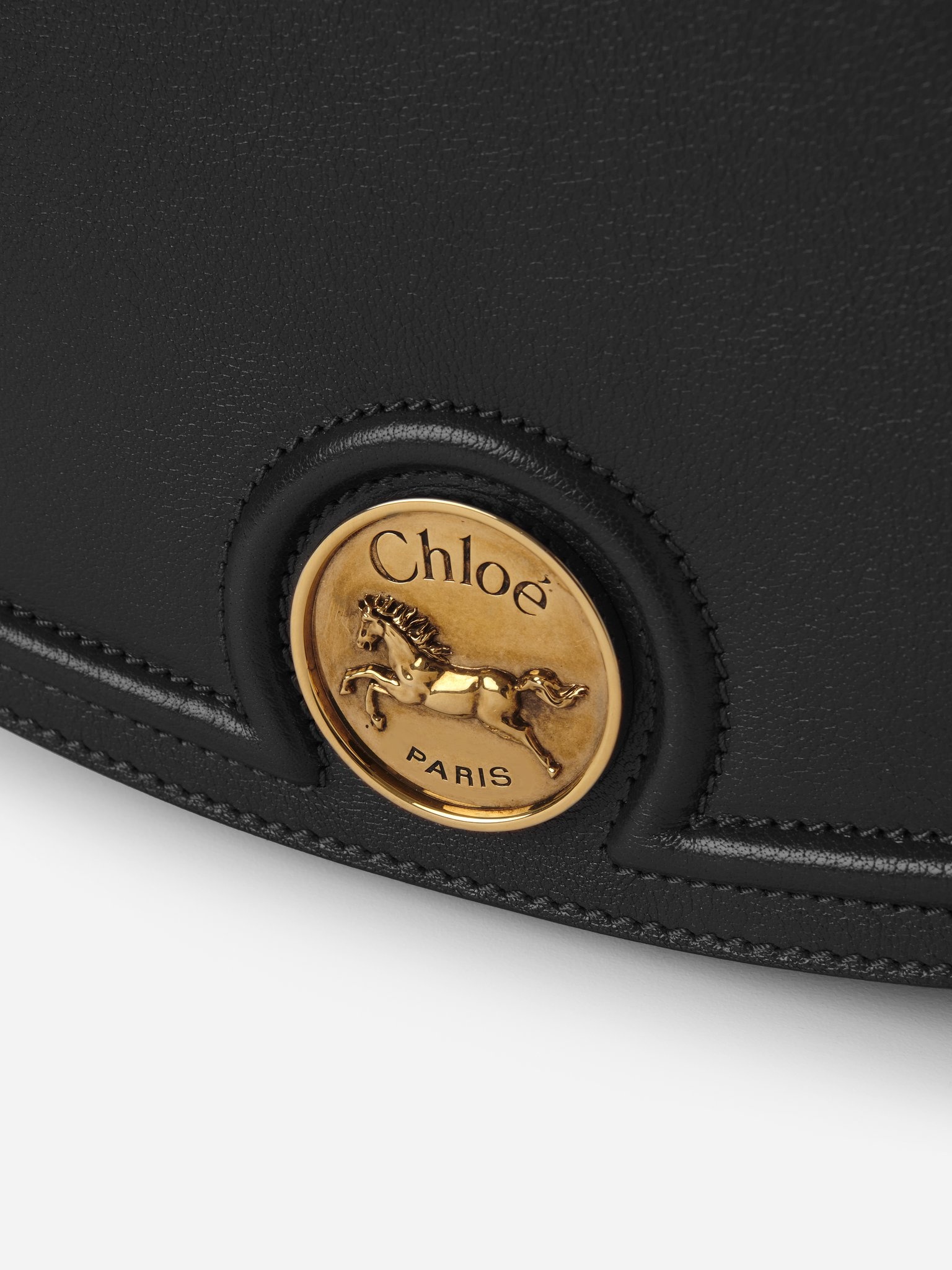 HORSE MEDAL SADDLE BAG IN GRAINED LEATHER - 5