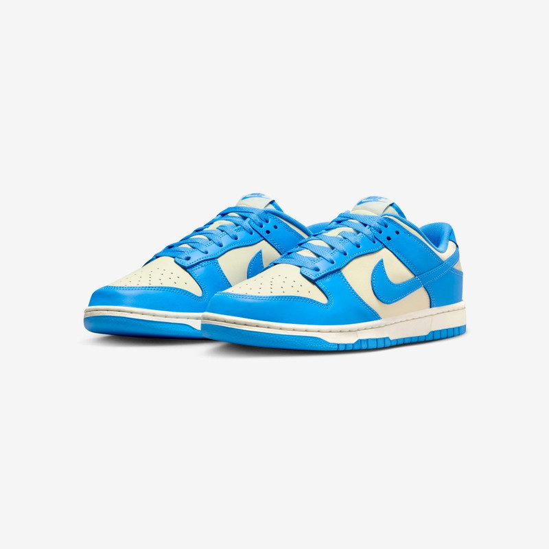 Nike Dunk Low Retro outlook