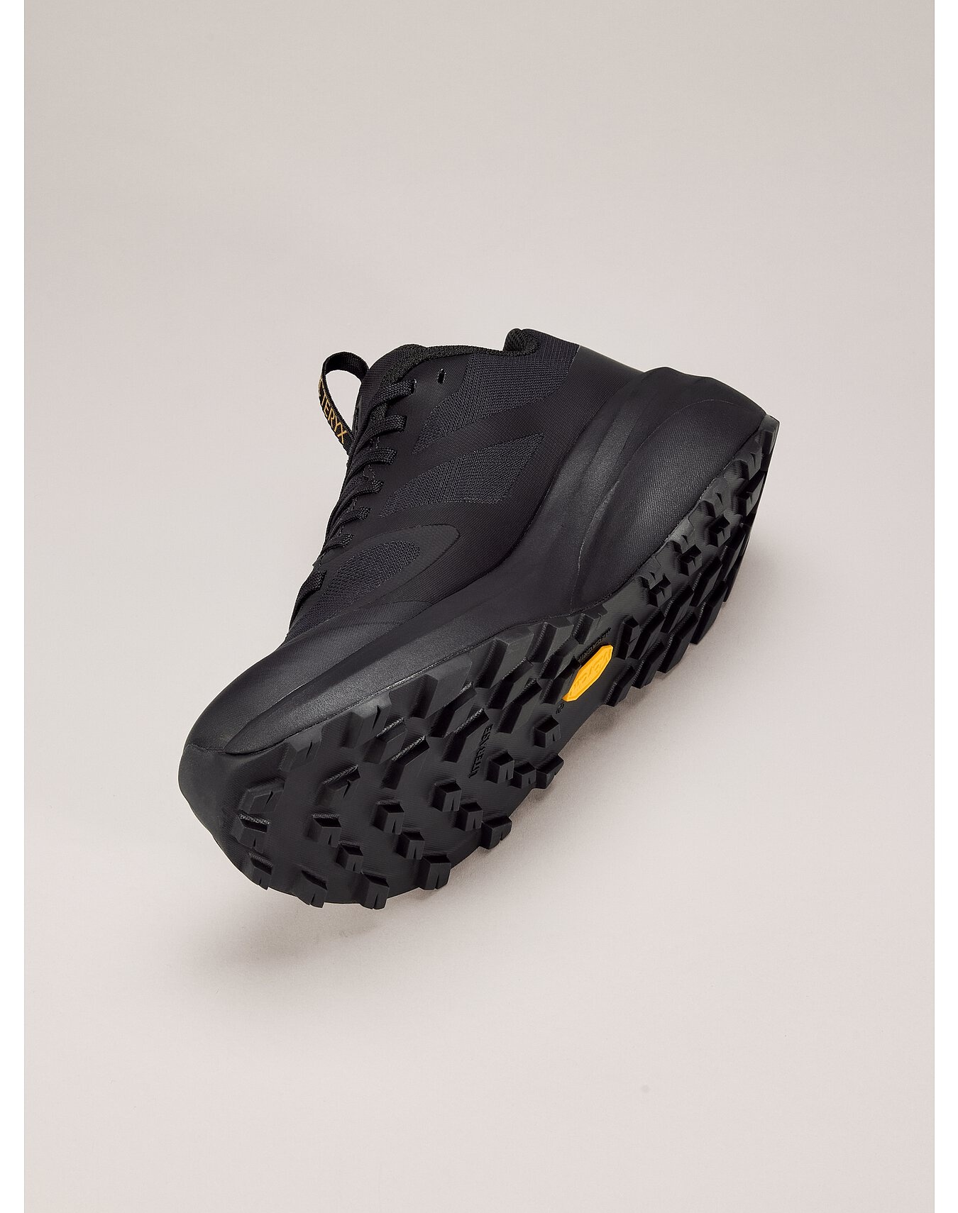 Norvan LD 3 GTX Shoe - 5
