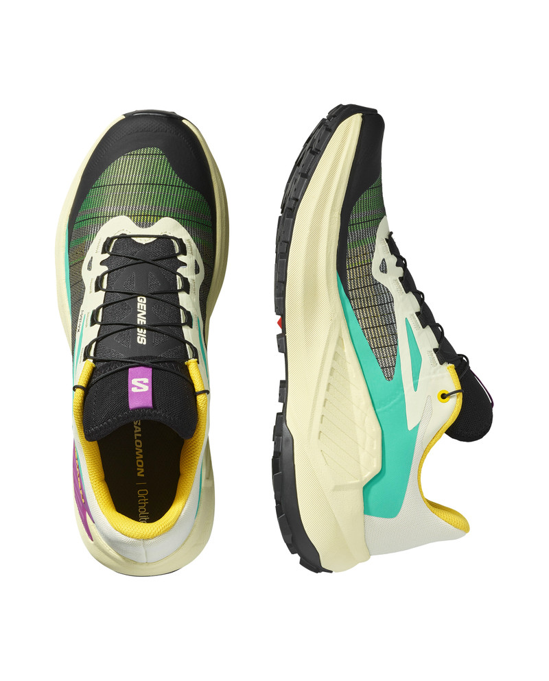 SALOMON GENESIS outlook