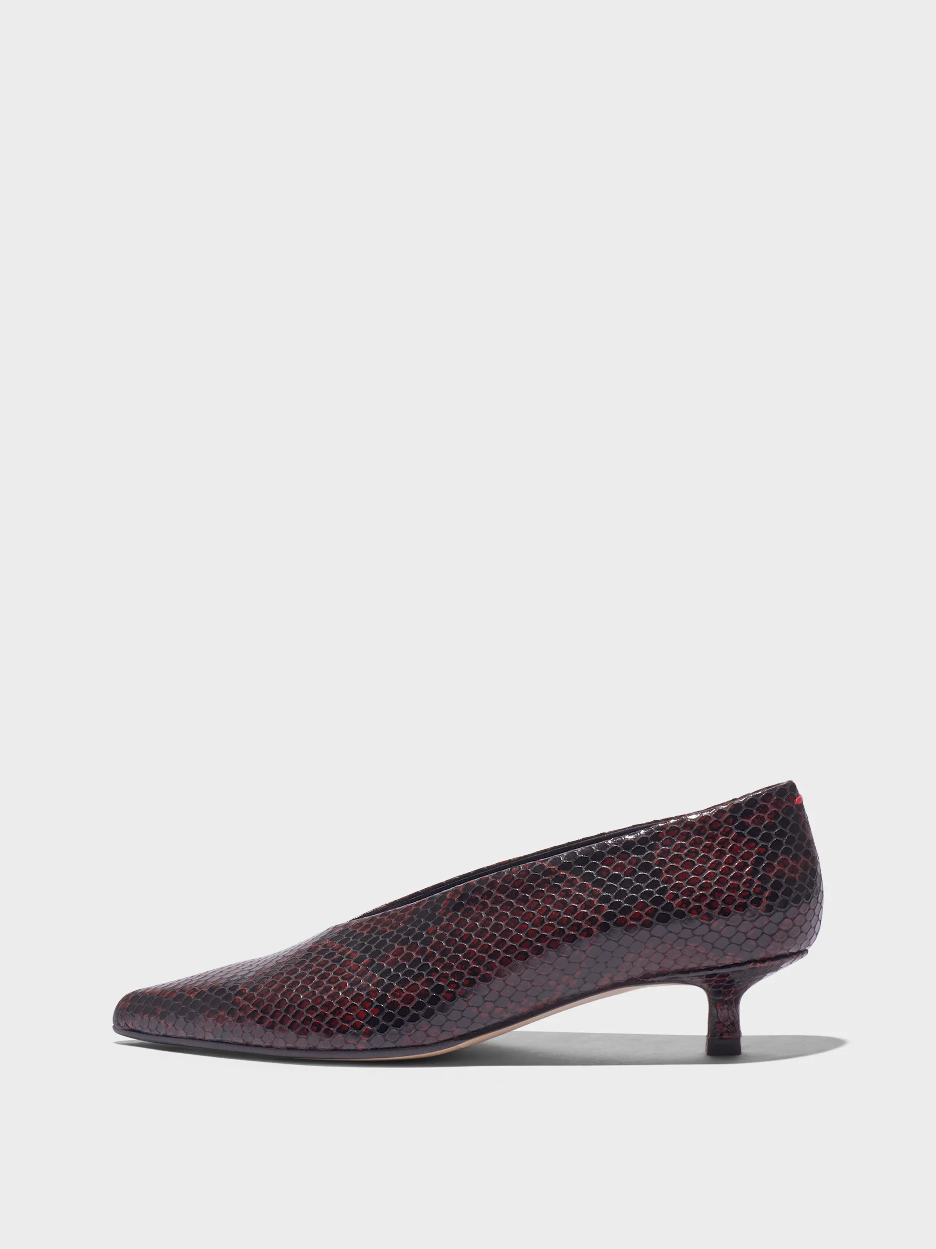 Clara Pointed-Toe Pumps - 1