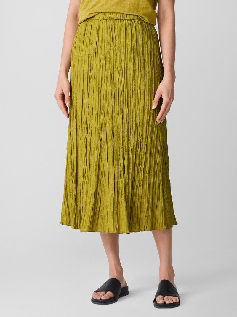 Crushed Silk Flared Skirt 3