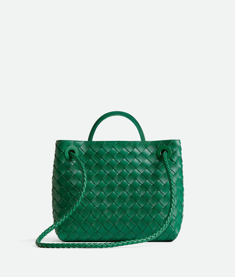 Bottega Veneta Small Andiamo outlook