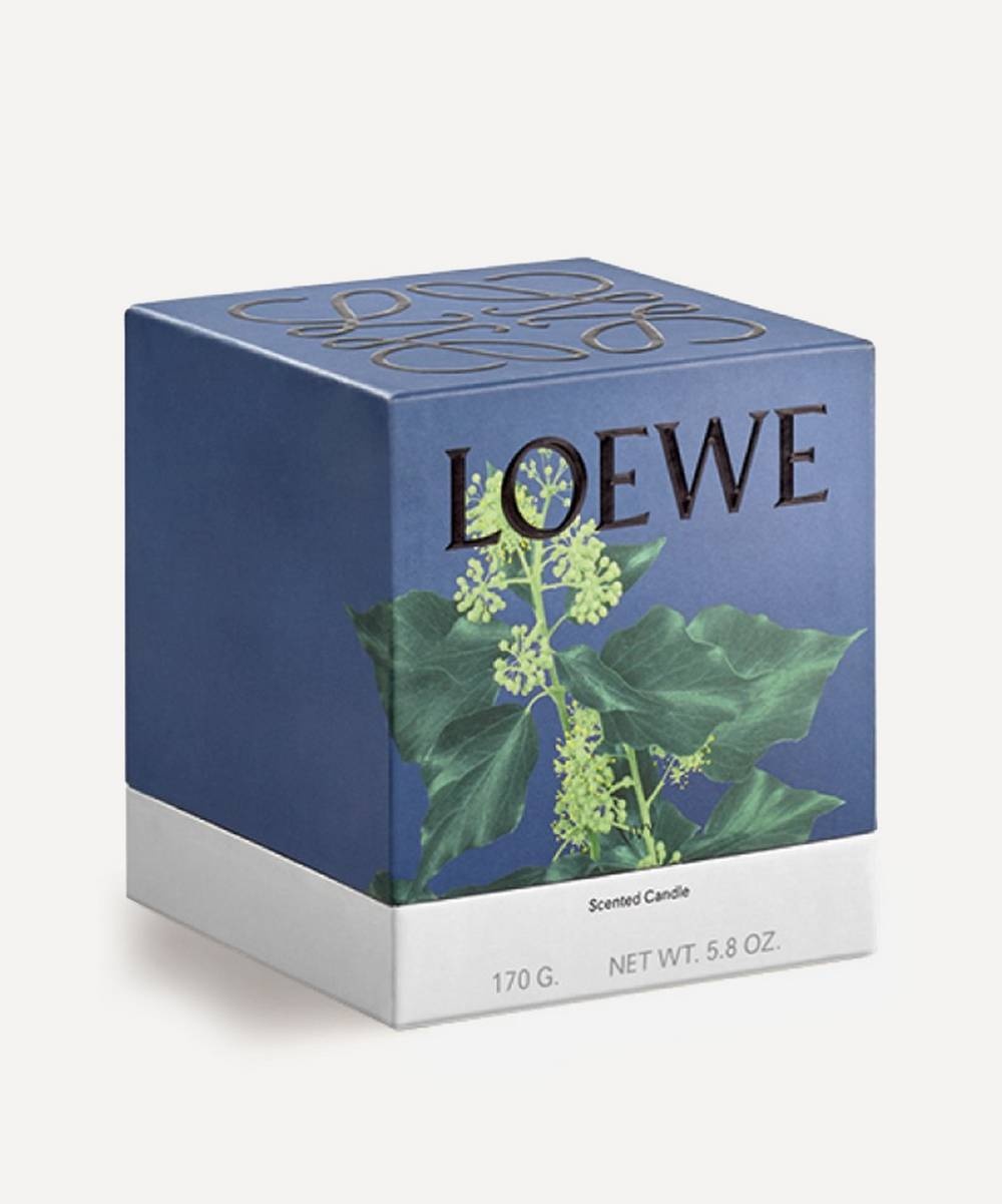 Small Ivy Candle 170g - 4