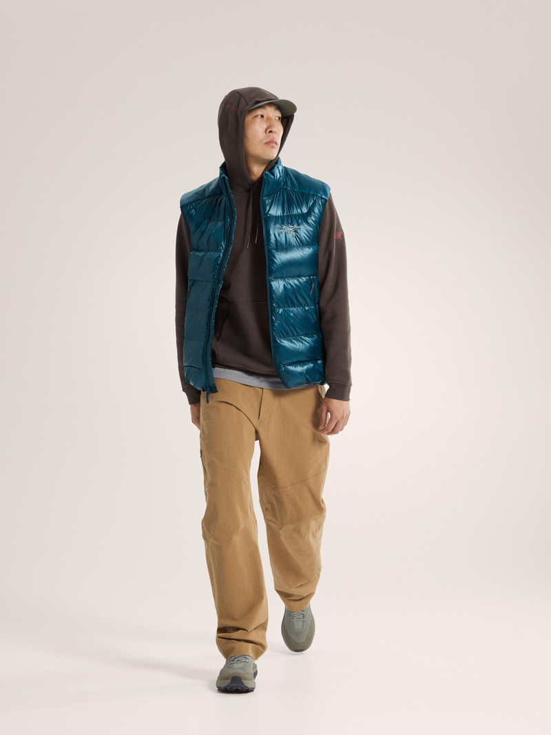 Arc'teryx Emblem Fleece Hoody outlook