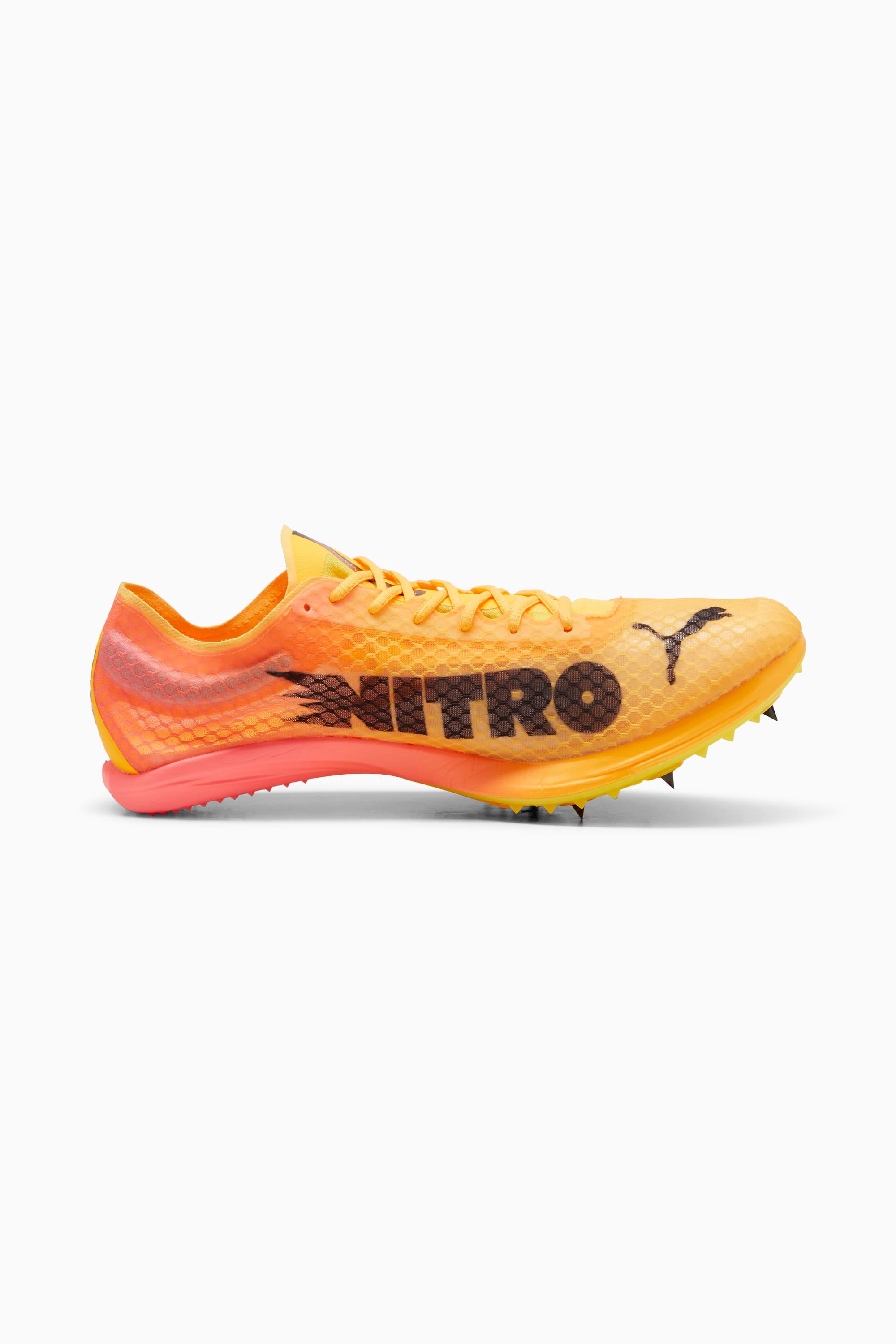 evoSPEED Distance NITRO™ Elite+ 4 Men's Track Spikes - 5